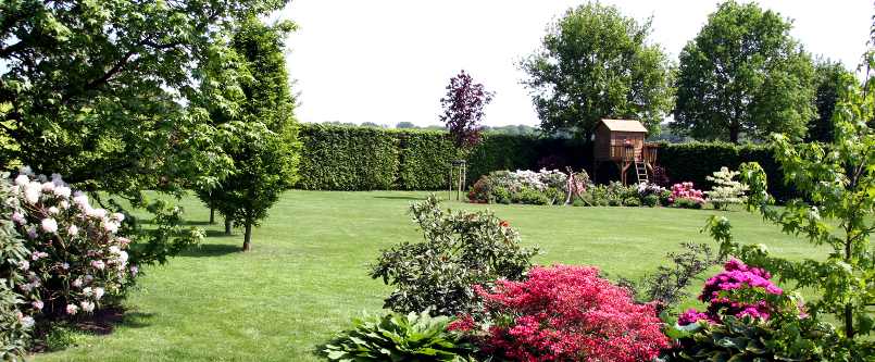 Gartenbau Jansen Toreinfahrt mit Hecke